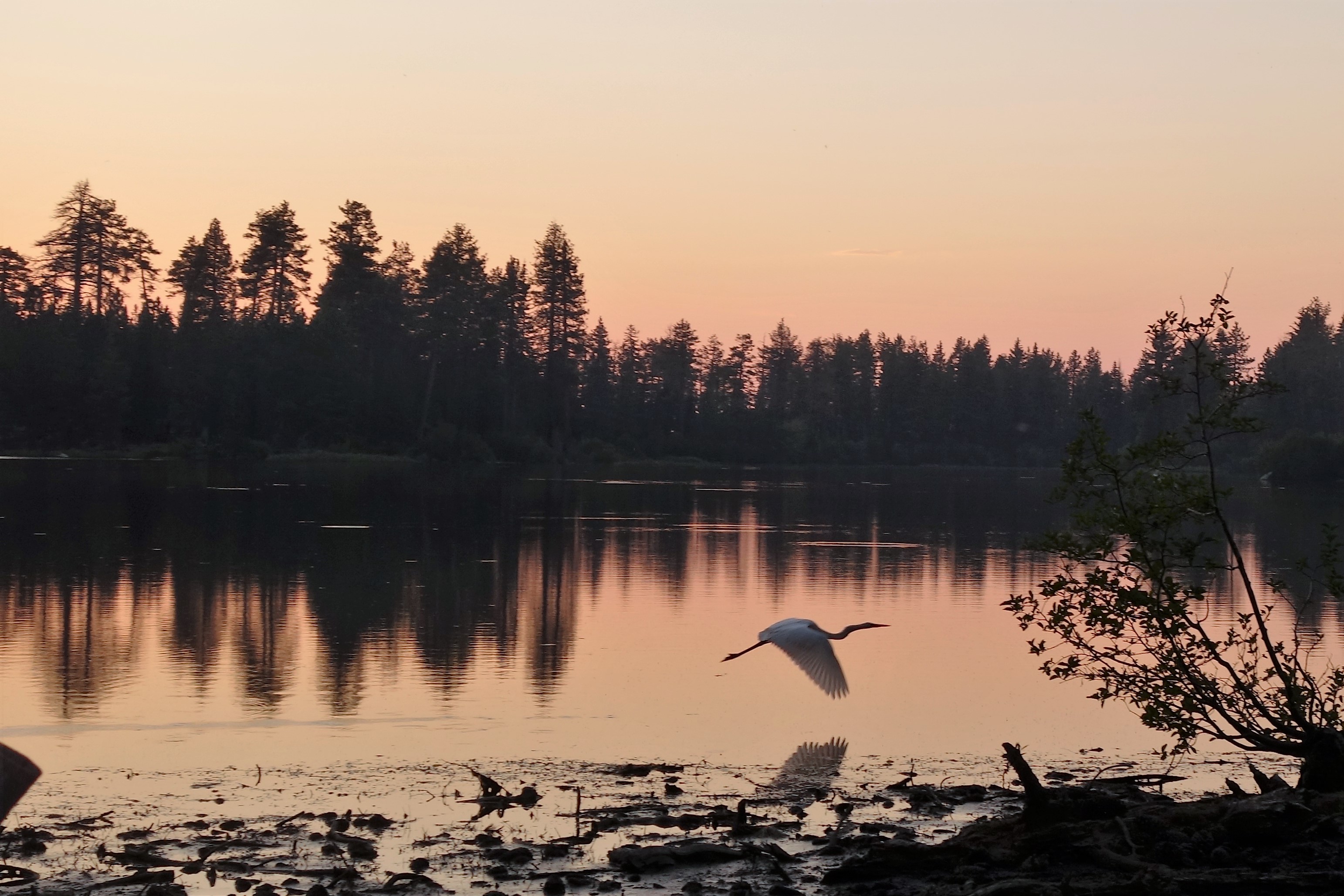 Lassen National Park